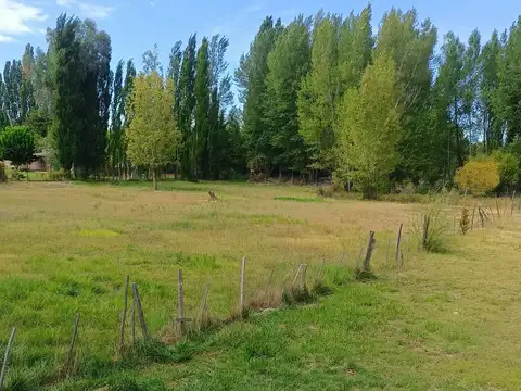 Venta de 1/2 hectarea a 100 metros de la ruta 22