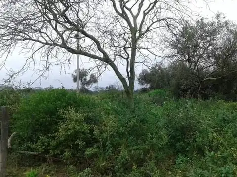 POZO DEL TIGRE