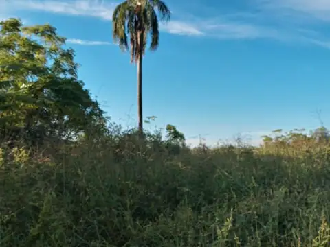 POZO DEL  TIGRE