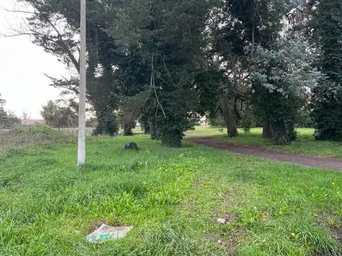 La Candelaria