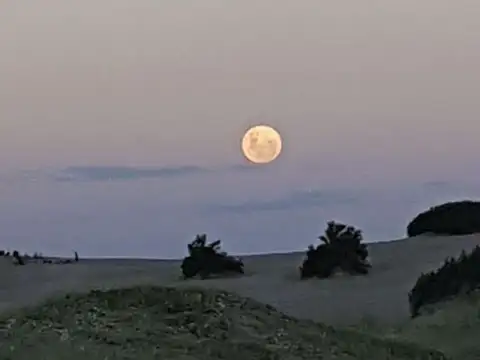 Terrenos en venta - 8.312Mts2 - Arenas Verdes, Lobería