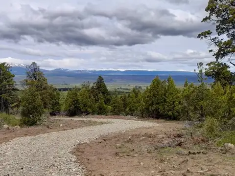 Terreno en Venta de 10000,0 m2