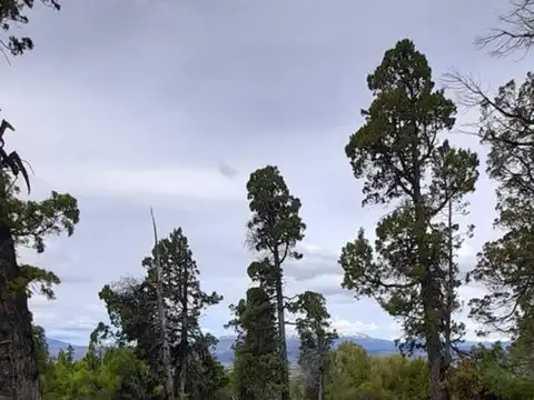 Terreno en Venta de 10000,0 m2