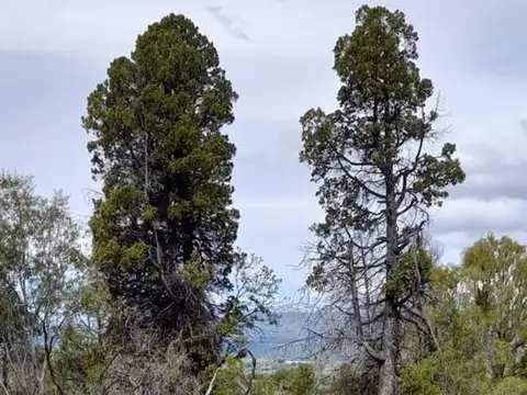 Terreno en Venta en Trevelin, USD 35.000