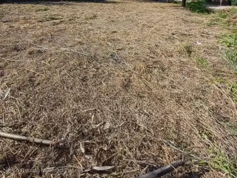 Terreno en Venta 17  mts Fondo