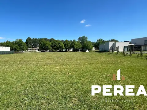 Av Fernández Beschedt Everlinks