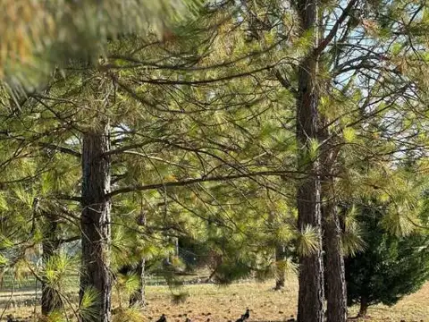 Terreno en venta barrio cerrado en Cardales 1.000m2. Bajas expensas!
