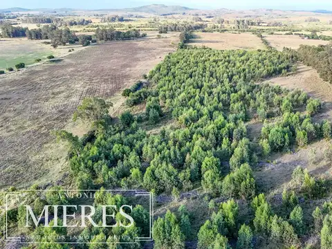 Chacra de 18ha con casa frente a Ruta 9 Pan de Azucar