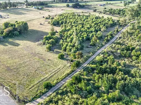 Chacra de 18ha con casa frente a Ruta 9 Pan de Azucar