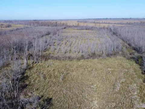 VENTA DE TERRENO 300 HECTÁREAS DESAROLLO ESCOBAR