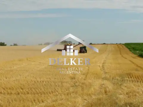 ALQUILER CAMPO AGRICOLA PARA GANADERIA 160 HA EN GUALEGUAYCHU ENTRE RIOS