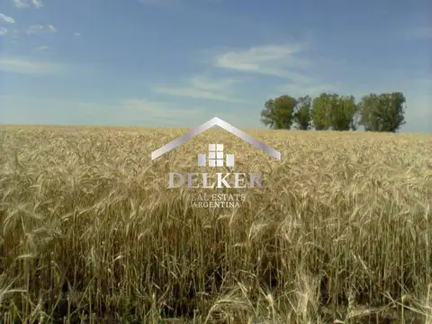 ALQUILER CAMPO AGRICOLA PARA GANADERIA 160 HA EN GUALEGUAYCHU ENTRE RIOS