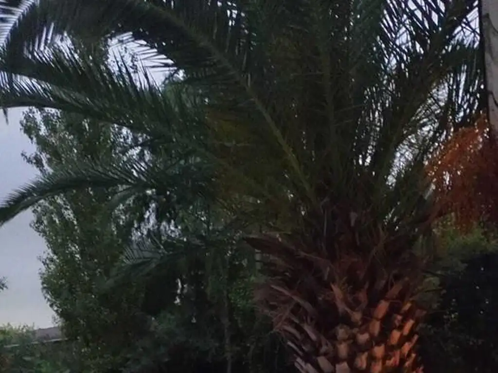 Casa en Venta de 32413,0 m2