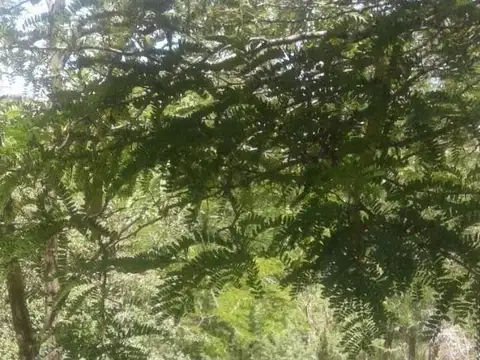 Terreno en Venta en Valle Hermoso, USD 12.000