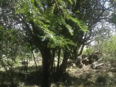Terreno en Venta 12  mts Frente