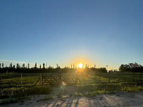 Lote venta Diego Gaynor, pueblo rural