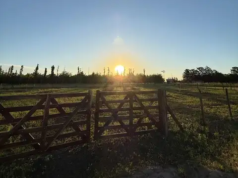 Lote venta Diego Gaynor, pueblo rural