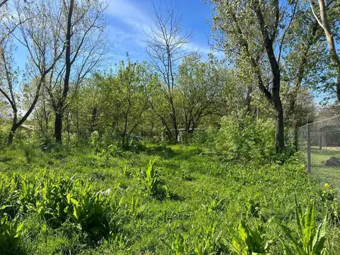 TERRENO VENTA LOS PINOS EXALTACION DE LA CRUZ