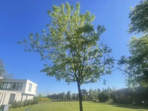 Terravista - Dueño Directo - Excelente Ubicacion en Sector II