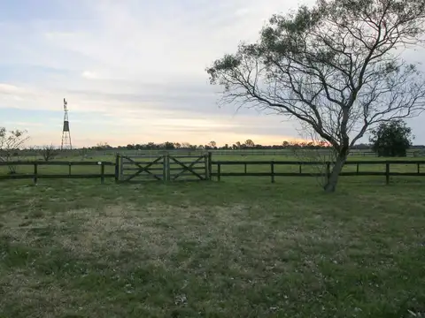 Terreno en Venta de 5054,0 m2