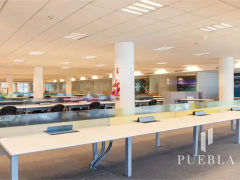 Oficina AAA en Alquiler  – Parque Patricios
