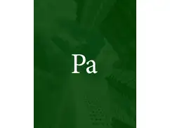 PALLITTO & Asociados
