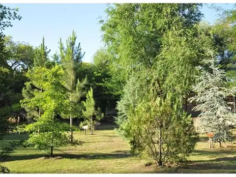 CONFIDENCIAL - BI682831