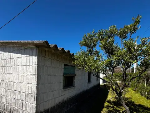 José Pedro Varela 100