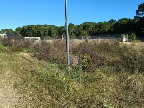 Pescadilla 1400