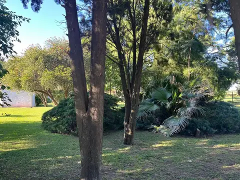 LOTE EN LA TATENGUITA, SANTO TOME