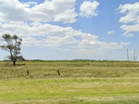 Ruta Nacional 7 - KM 730