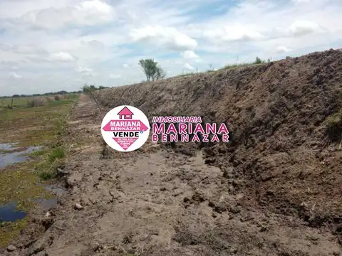 Campo en Isla, zona Alsina - Baradero