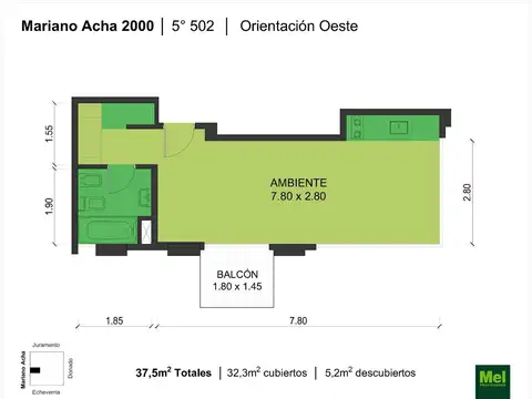 Mariano Acha 2000