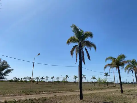 ruta nacional 33