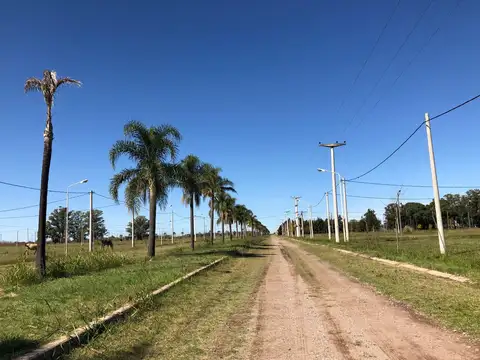 Terreno en Venta en Casilda, USD 19.000