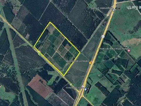 VENTA QUINTA CÍTRICA CONCORDIA