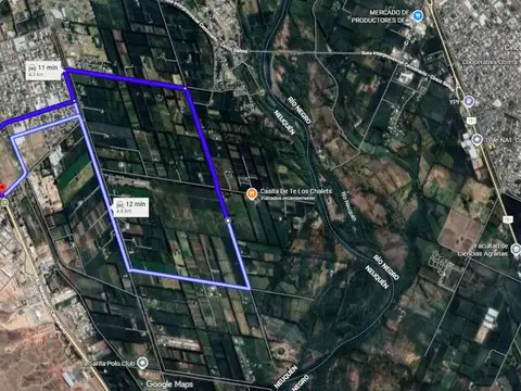 VENTA CHACRA 2,5HAS, CALLE 20 CENTENARIO - NEUQUÉN