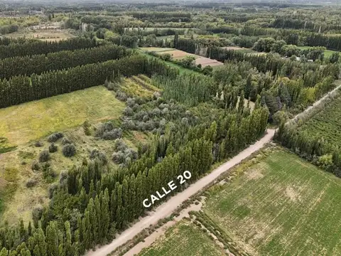 Zona Rural, Centenario, Calle 20, Lote 75