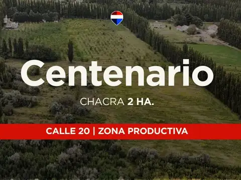 VENTA CHACRA 2,5HAS, CALLE 20 CENTENARIO - NEUQUÉN