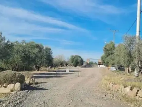 VENTA DE LOTE EN MAGDALENA OLIVAR EN PEDEMONTE