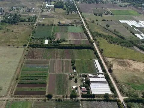 VENTA CAMPO 7,8 HAS AV. ALLAN Y 639. F. VARELA