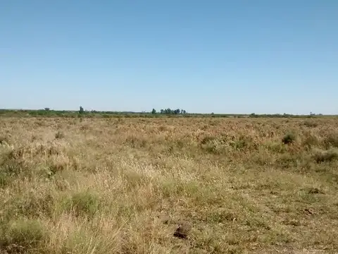 Campo en Venta Mixto