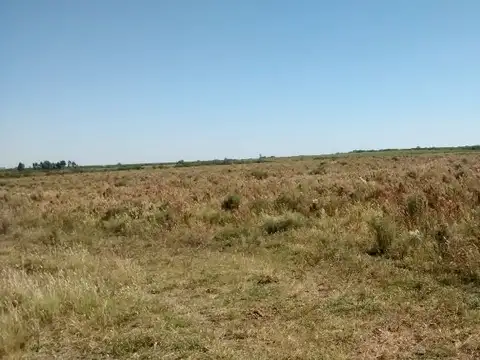 Campo en Venta con Alambrado