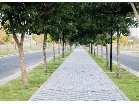 Terreno en Venta 39  mts Fondo