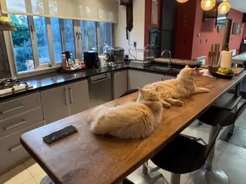 Casa - Venta - Argentina, City Bell - Club de Campo Grand Bell  467 e/ 142 y 148 5000