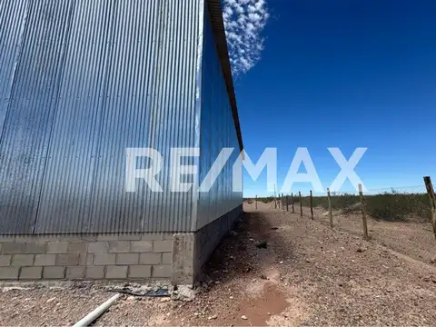 ALQUILER GALPON NUEVA RUTA DEL PETROLEO NEUQUEN