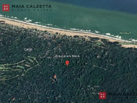 Maca y Araucaria