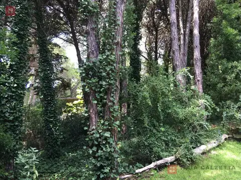Terreno en Venta 25  mts Frente