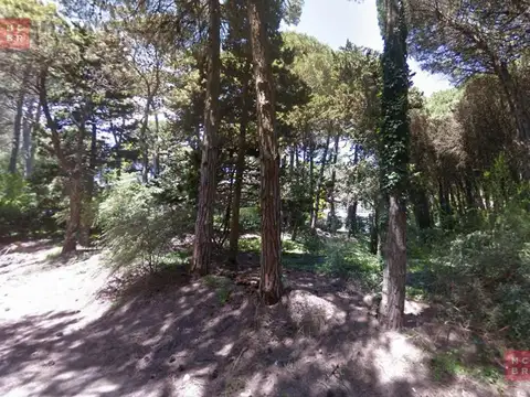Terreno - Carilo