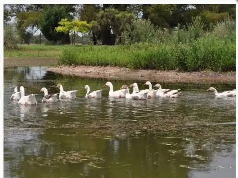 Fondo Comercio en Venta 30 años